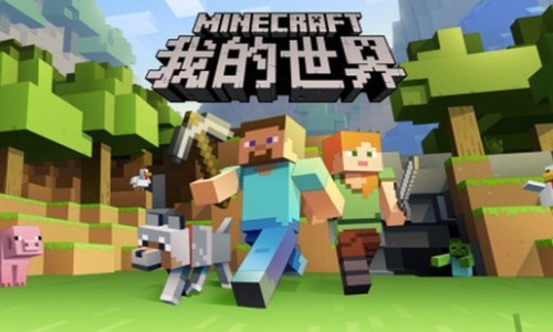 中药毛姜作用和功效-中药毛姜作用网 | 毛姜的功效,毛姜的功效