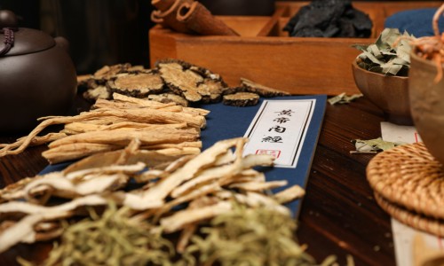 中药丰胸有效果没有